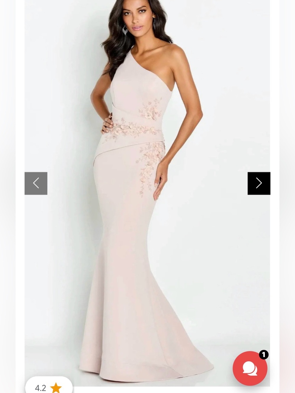 High end dress and gorgeous details